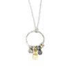 Multi-Tone Trinket Necklace with Silver Chain