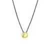Gold Convex Shell Necklace (Oxidised Silver Chain)