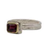 Fi Mehra Garnet Set in Yellow Gold  on Double Silver Band Ring