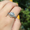 Jaquline_Haddenham_grey_moonstone(4)