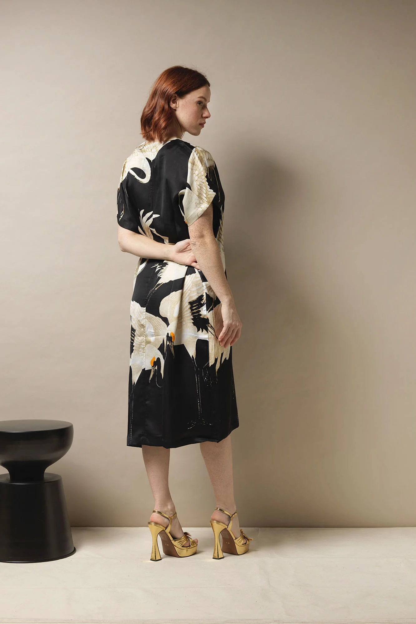 ShiftDressStorkBlack4