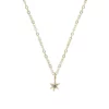 Acanthus – Amulet North Star Charm Necklace (14ct Gold)