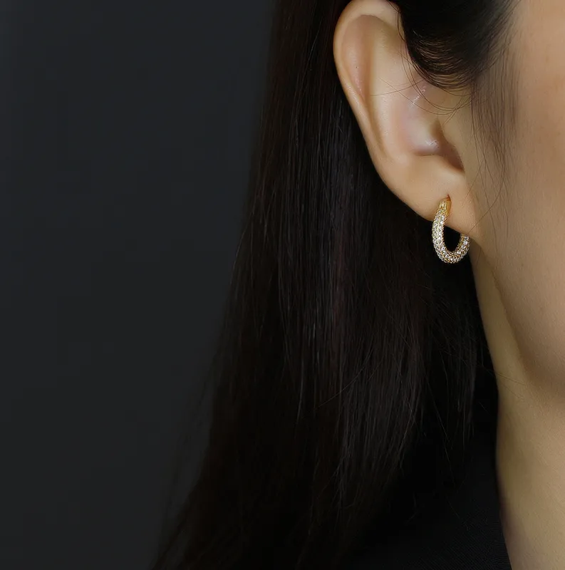 1-Pair-Simple-Style-Geometric-Sterling-Silver-Inlay-Zircon-Earrings (1)