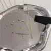 Crystal Waterdrop Necklace