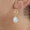 Circle Gemstone Drop Earrings Moonstone