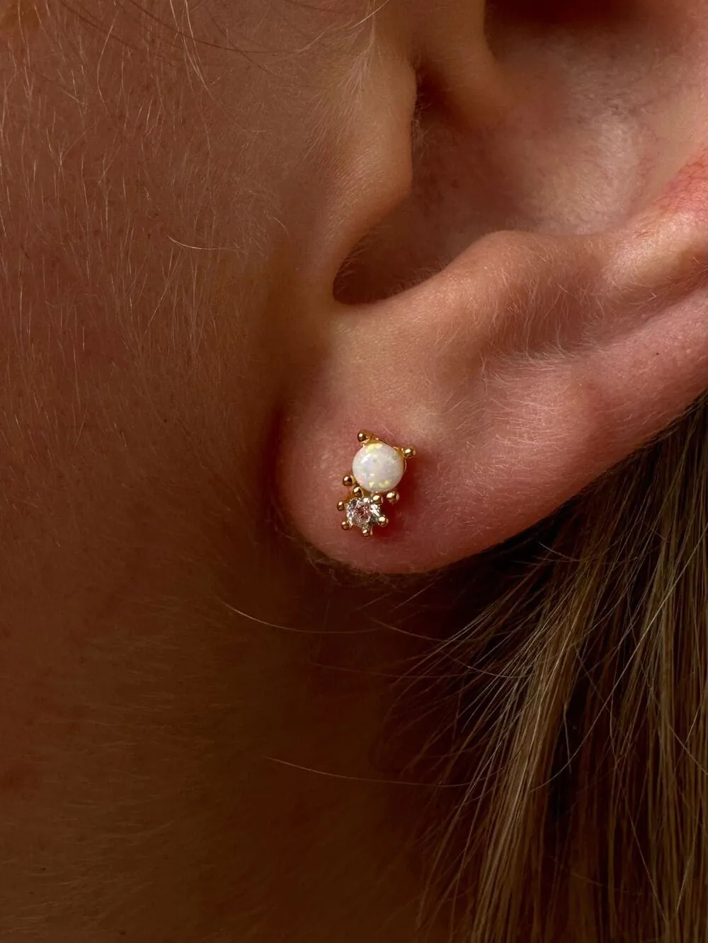 WhatsApp Image 2024-06-23 at 23.56.12 (1)