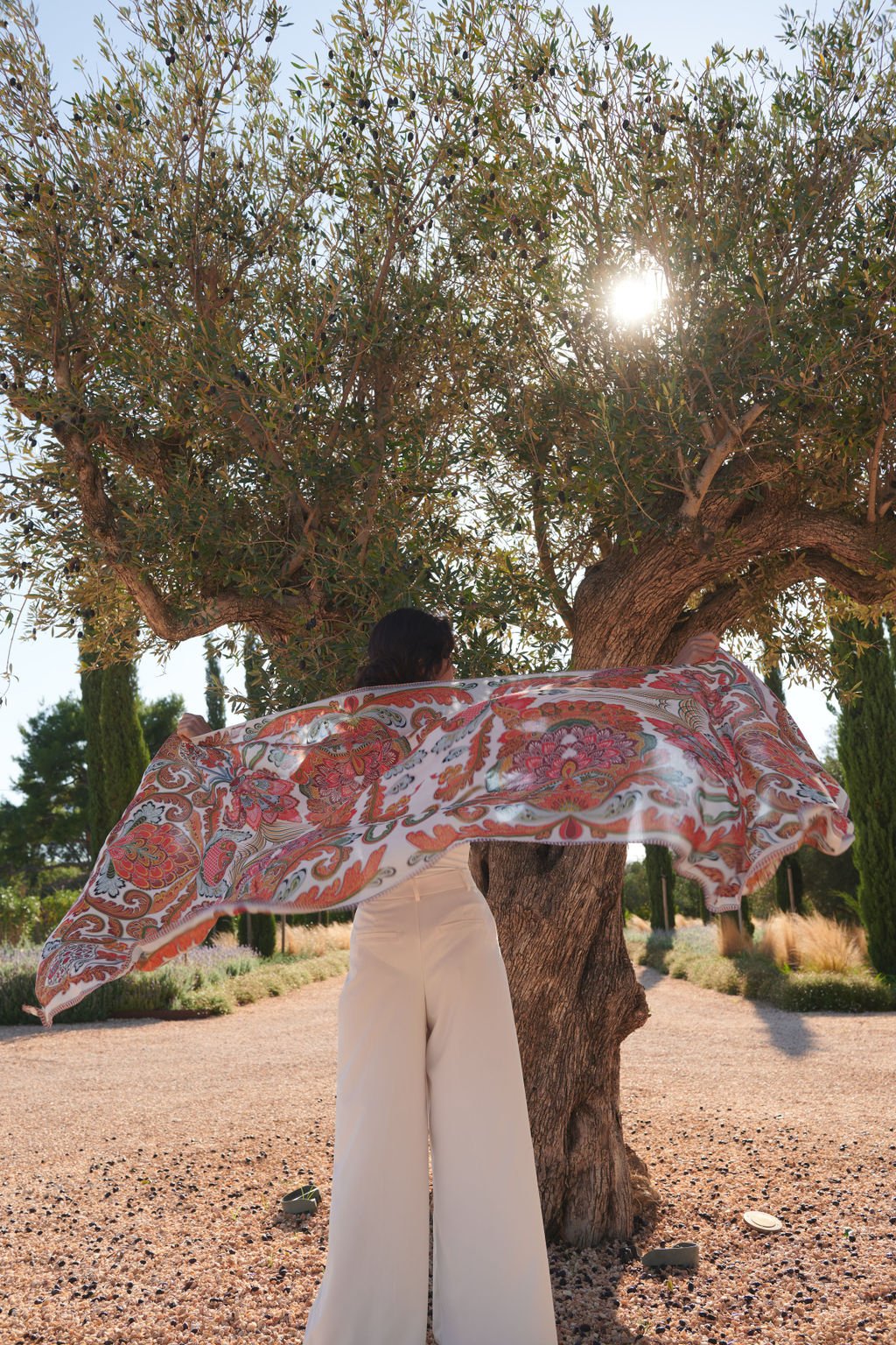 Capture_1910204_OHS_Mallorca_2422-755143