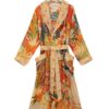 Fans-Scarlet-Gown